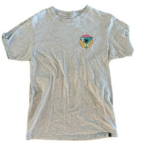 Grey and multicoloured graphic ripcurl tee